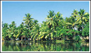 Alleppey, Alappuzha