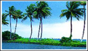 Alleppey, Alappuzha